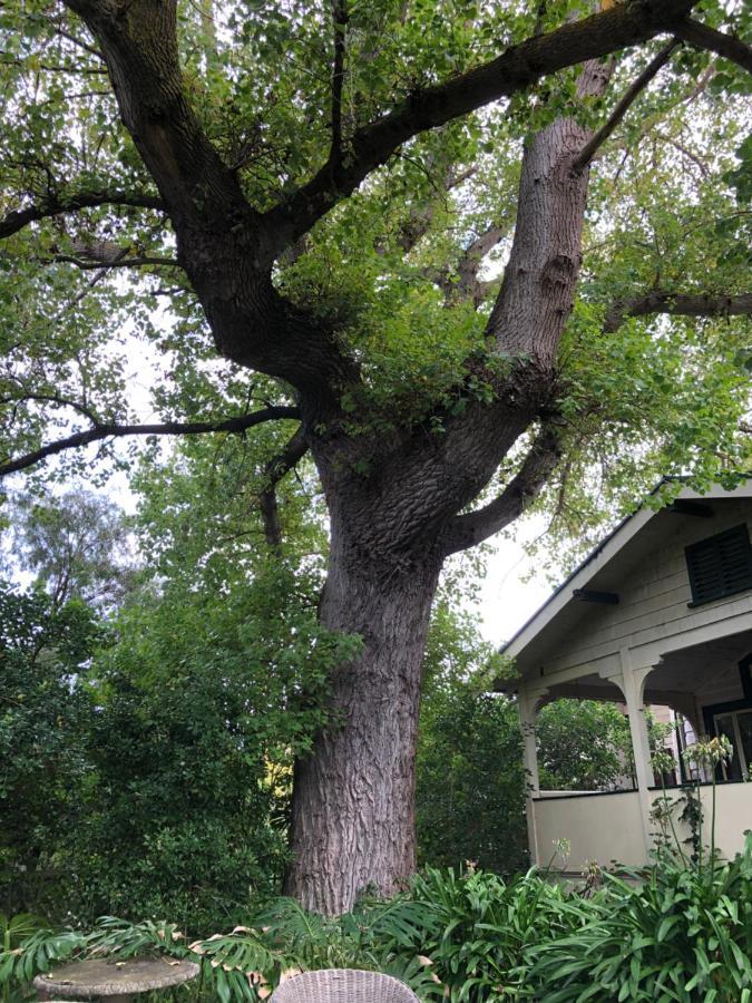 Lorelei Bed & Breakfast ポートランド エクステリア 写真